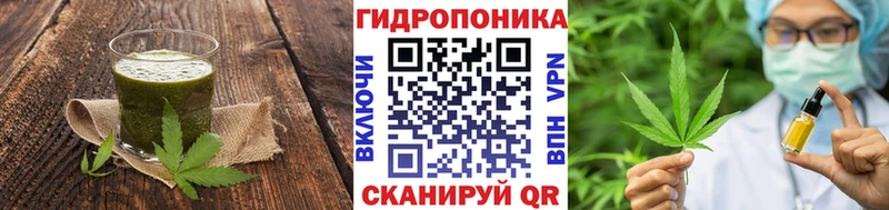 Cannafood конопля  закладки  Полярные Зори 