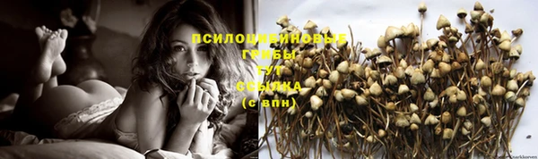ешки Осташков