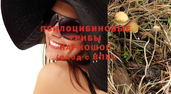 ешки Осташков