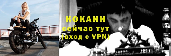 ПСИЛОЦИБИНОВЫЕ ГРИБЫ Белая Холуница